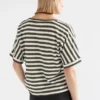 Seter-T-Shirt Seter-T-Shirt